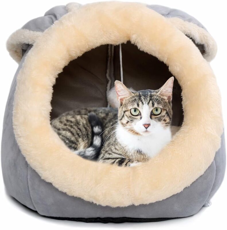 Las camas son accesorios populares entre los dueños de gatos