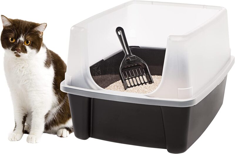 Las cajas de arena para gatos son esenciales para su cuidado