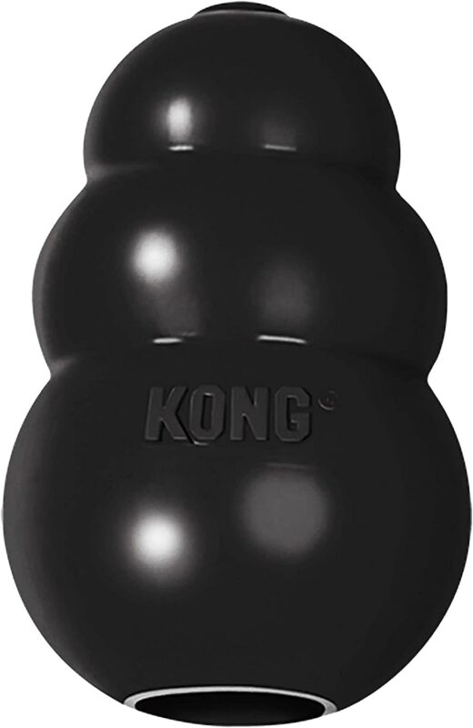 Los juguetes Kong son los más populares entre perros mordedores