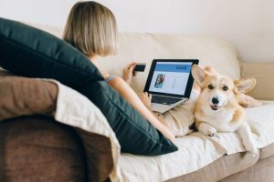 Decidir si compras online o en pet shop depende de tu mascota