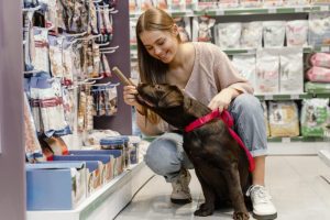 Visitar pet shop con mascota es muy agradable