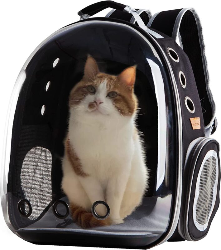 La mochila burbuja es un accesorio popular para dar paseos con gatos