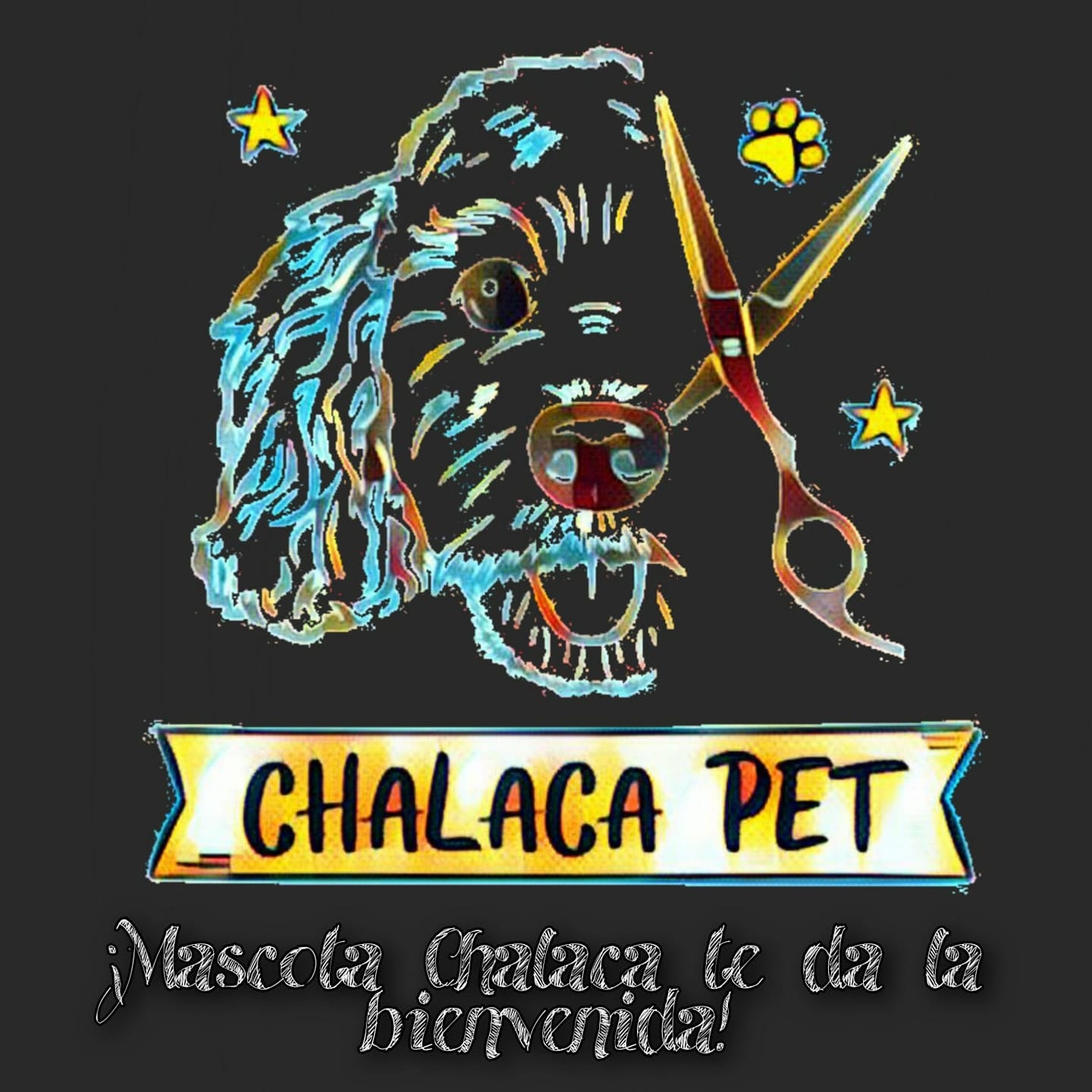 CHALACA PET - Mascotas365