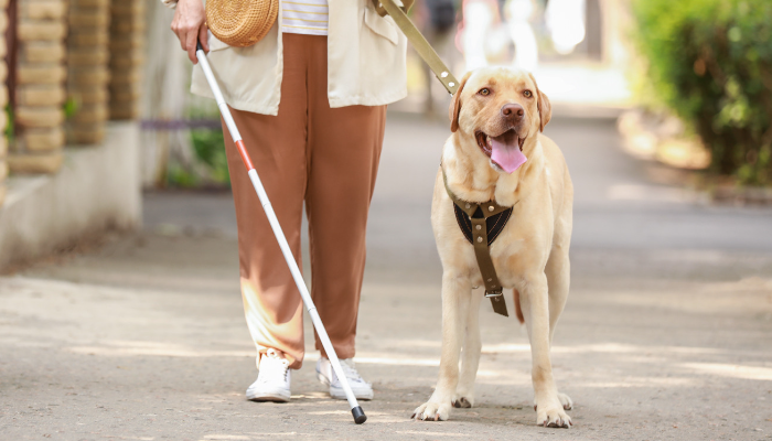 Los perros de asistencia son vitales para nuestra sociedad