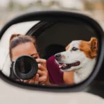 Viajar con tu mascota puedes ser complicado si no te organizas