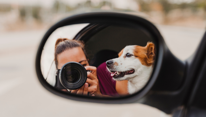 Viajar con tu mascota puedes ser complicado si no te organizas
