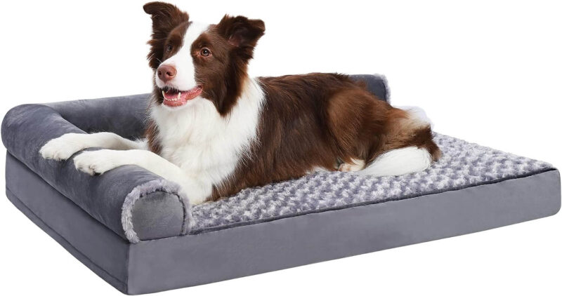 Las camas para perros son muy populares para su comodidad