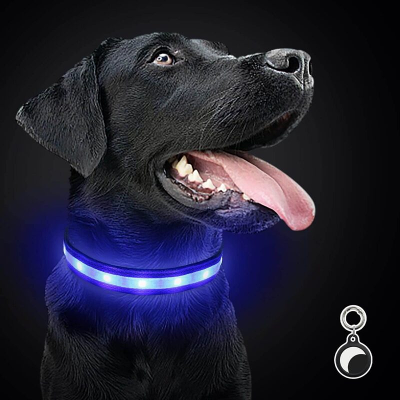 Un accesorio para perros que ha aumentado su popularidad para paseos nocturnos