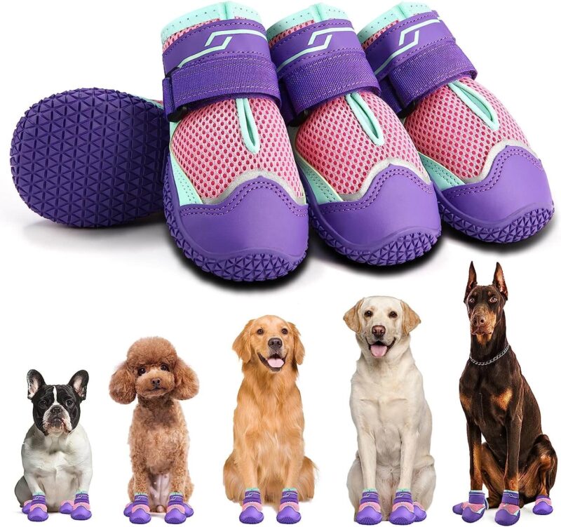 Los zapatos antideslizantes son utilizados para el paseo de perros