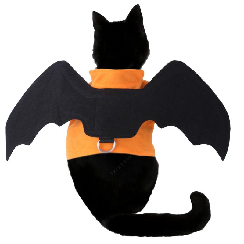 Las alas son un disfraz para mascotas en Halloween muy práctico
