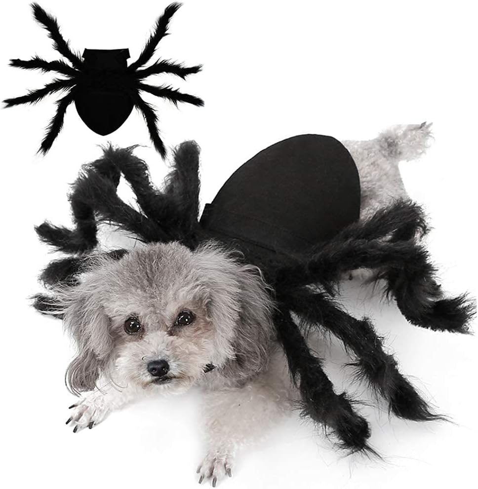 Disfraz de araña para perros