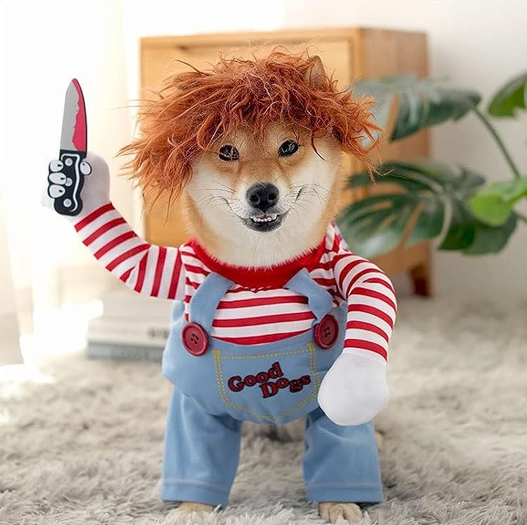 El disfraz de Chucky para perros es cotizado en Halloween