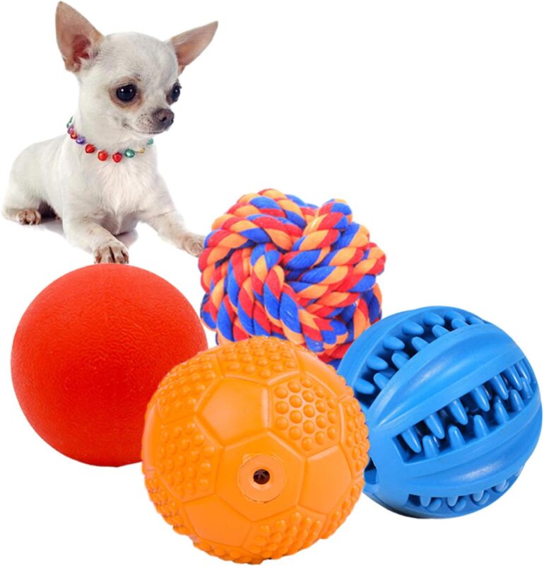Las pelotas son las favoritas de los perros cachorros