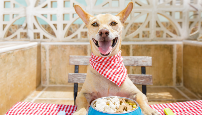 La dieta BARF para perros puede ser beneficiosa