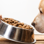 Hay marcas recomendadas de alimentos para perros