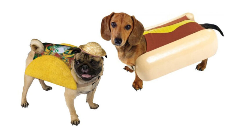 Un perro disfrazado para Halloween de hot dog y otro de taco