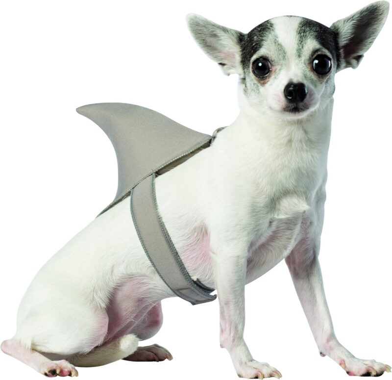 El tiburón puede ser un disfraz para mascota DIY