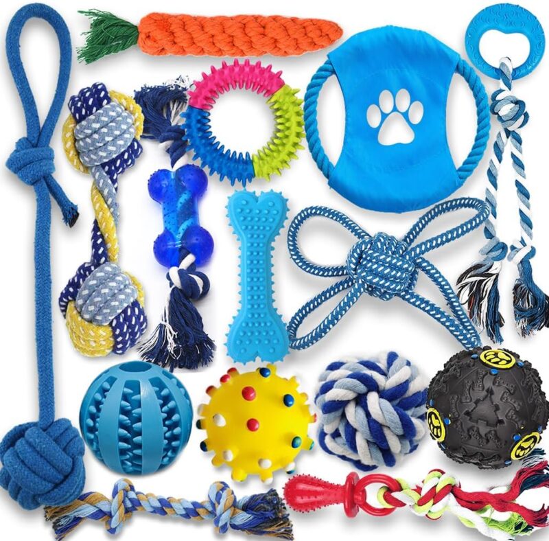 Kit de juguetes masticables para perros