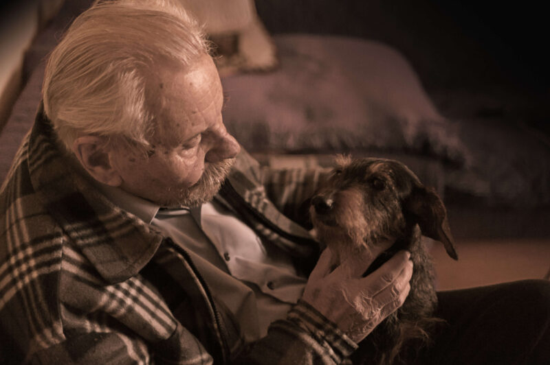 Existen muchos beneficios para las personas mayores adoptar mascotas