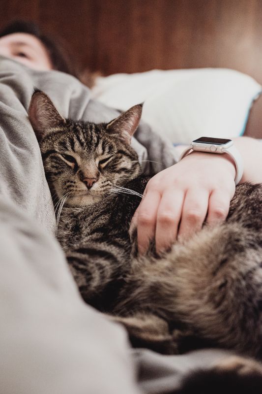 Puedes dormir con tu mascota sea gato o perro