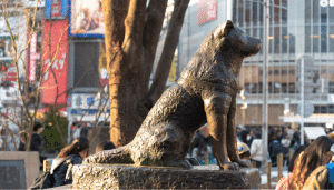 El perro Hachiko es conocido como el perro más fiel del mundo