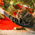 Hay maneras de alejar a los gatos de los árboles de Navidad