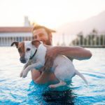 Existen muchas alternativas en Lima donde puede nadar tu perro durante el verano