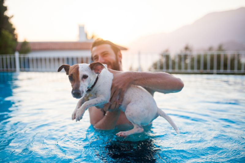 Existen muchas alternativas en Lima donde puede nadar tu perro durante el verano