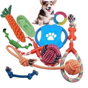 Pack de 10 Juguetes de Cuerda para Perros1