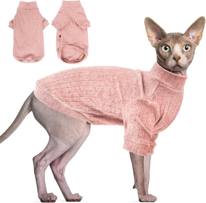 Los suéter para gatos no son recomendables durante el Verano