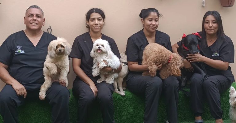 Equipo All4dogs