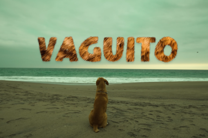 Vaguito: Te esperaré en la orilla es una historia de la vida real