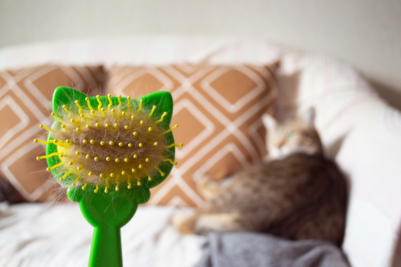 el deslanado en gatos sirve para limpiar su pelaje profundamente