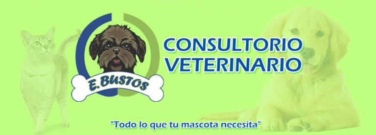 portada pt