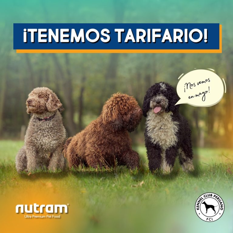 kennel club2