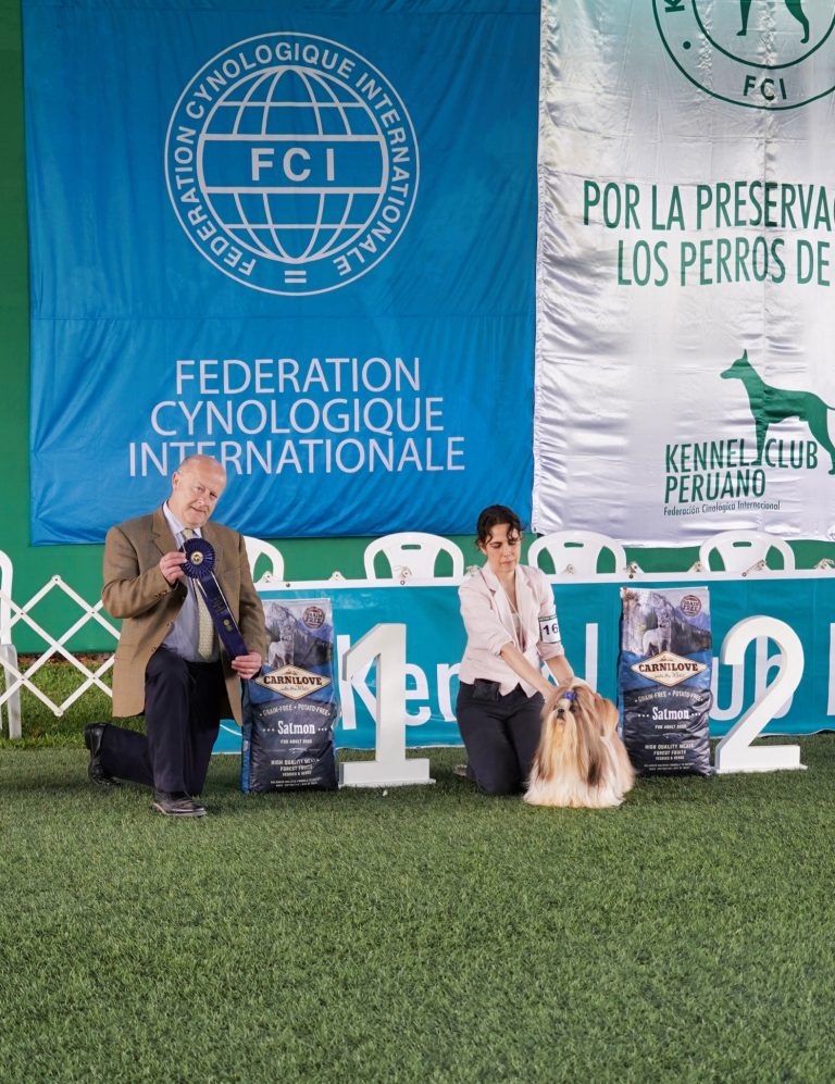 kennel club7