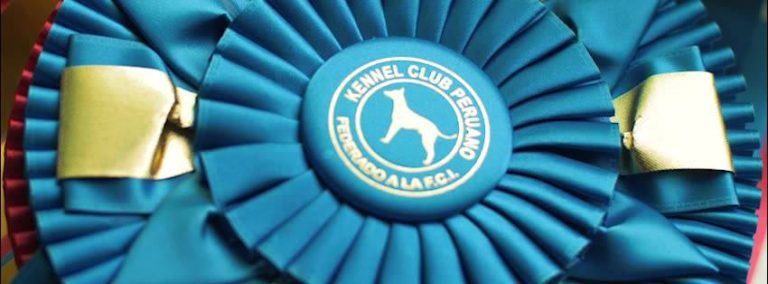 kennel club