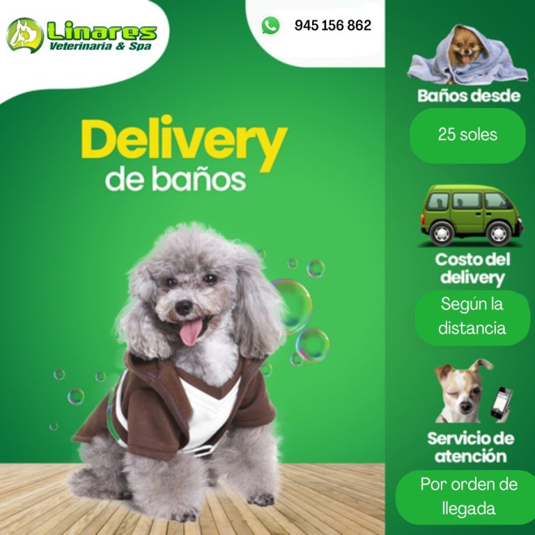 Linares Veterinaria & Spa3