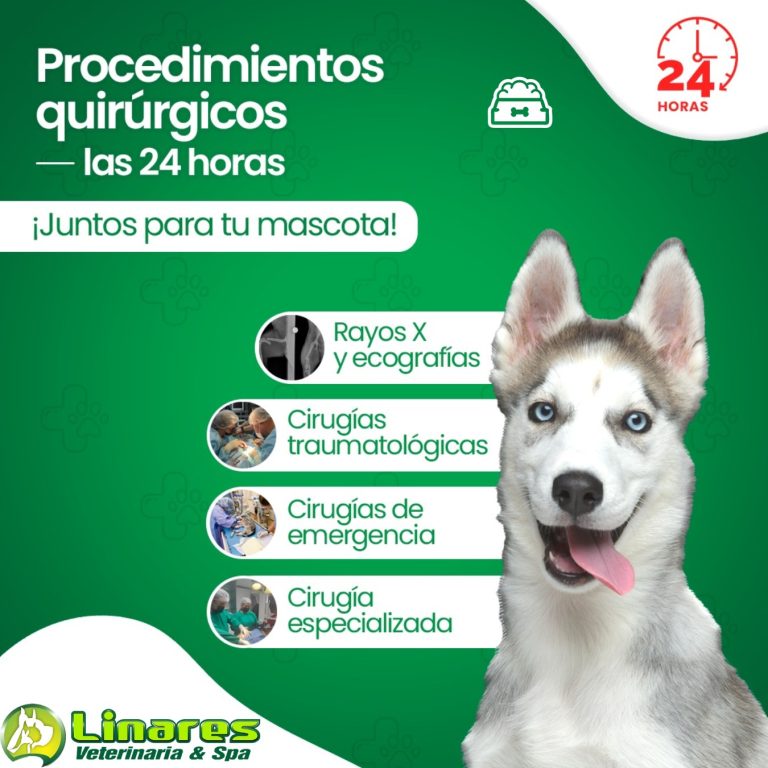 Linares Veterinaria & Spa1