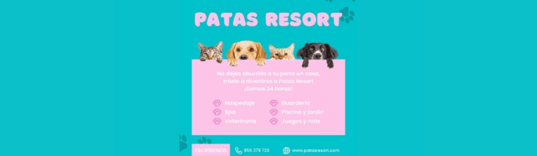 portada pt