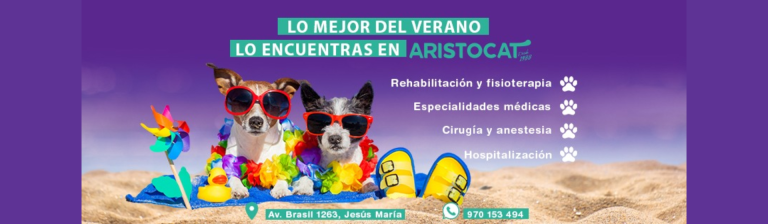ARISTOCAT
