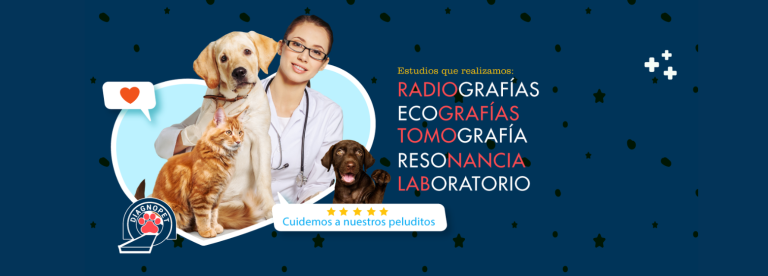 portada pt