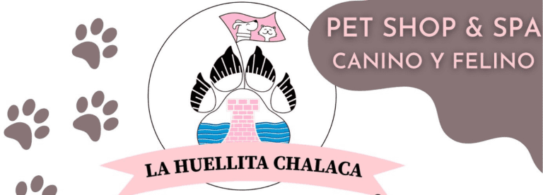 portada pt