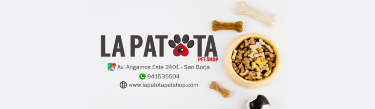 portada pt
