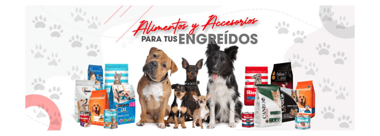 portada pt