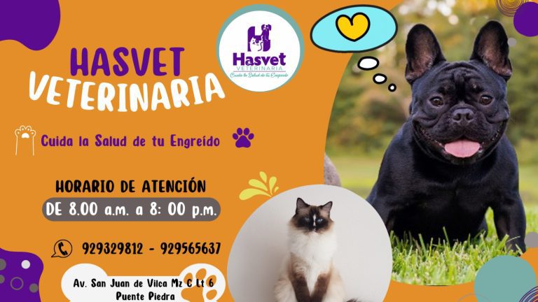 portada pt