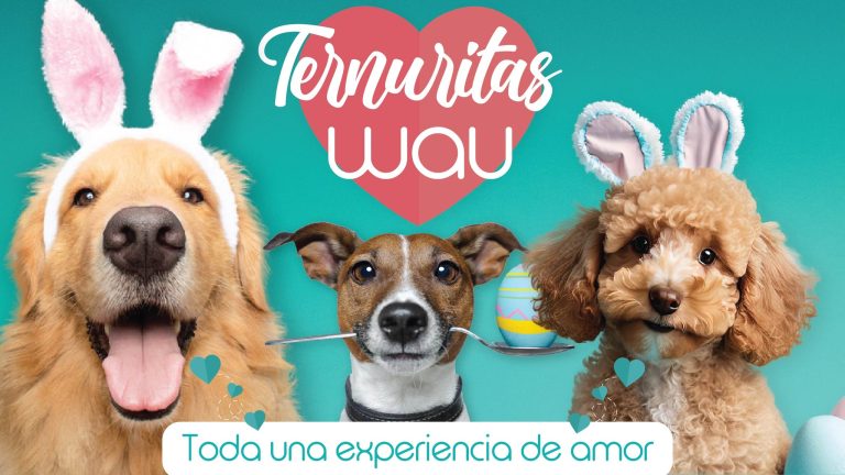 wau 4