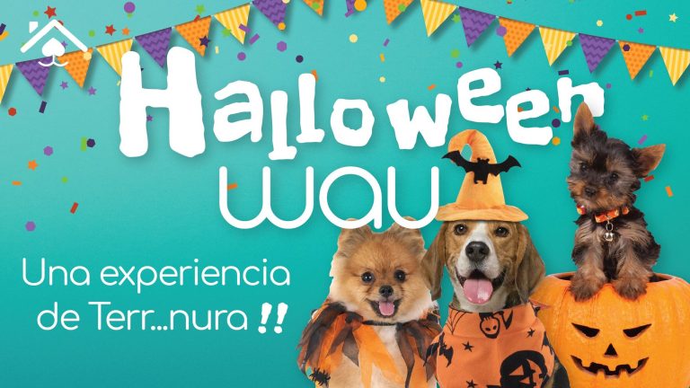 wau 3
