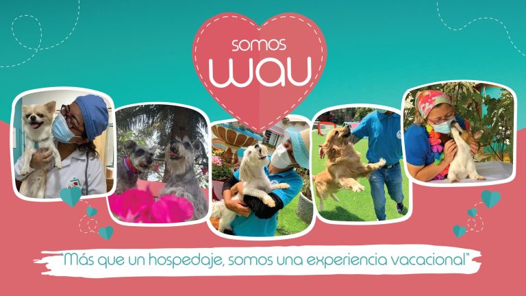 wau 2