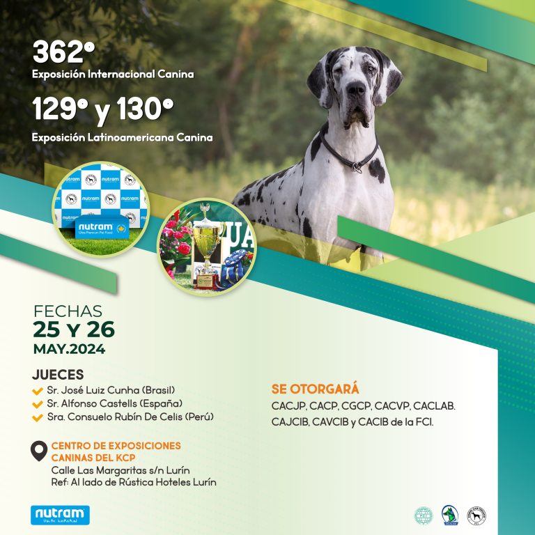 kennel club3